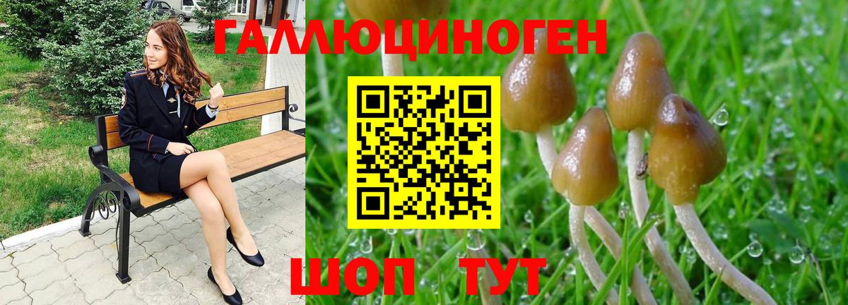 Галлюциногенные грибы MAGIC MUSHROOMS Орёл